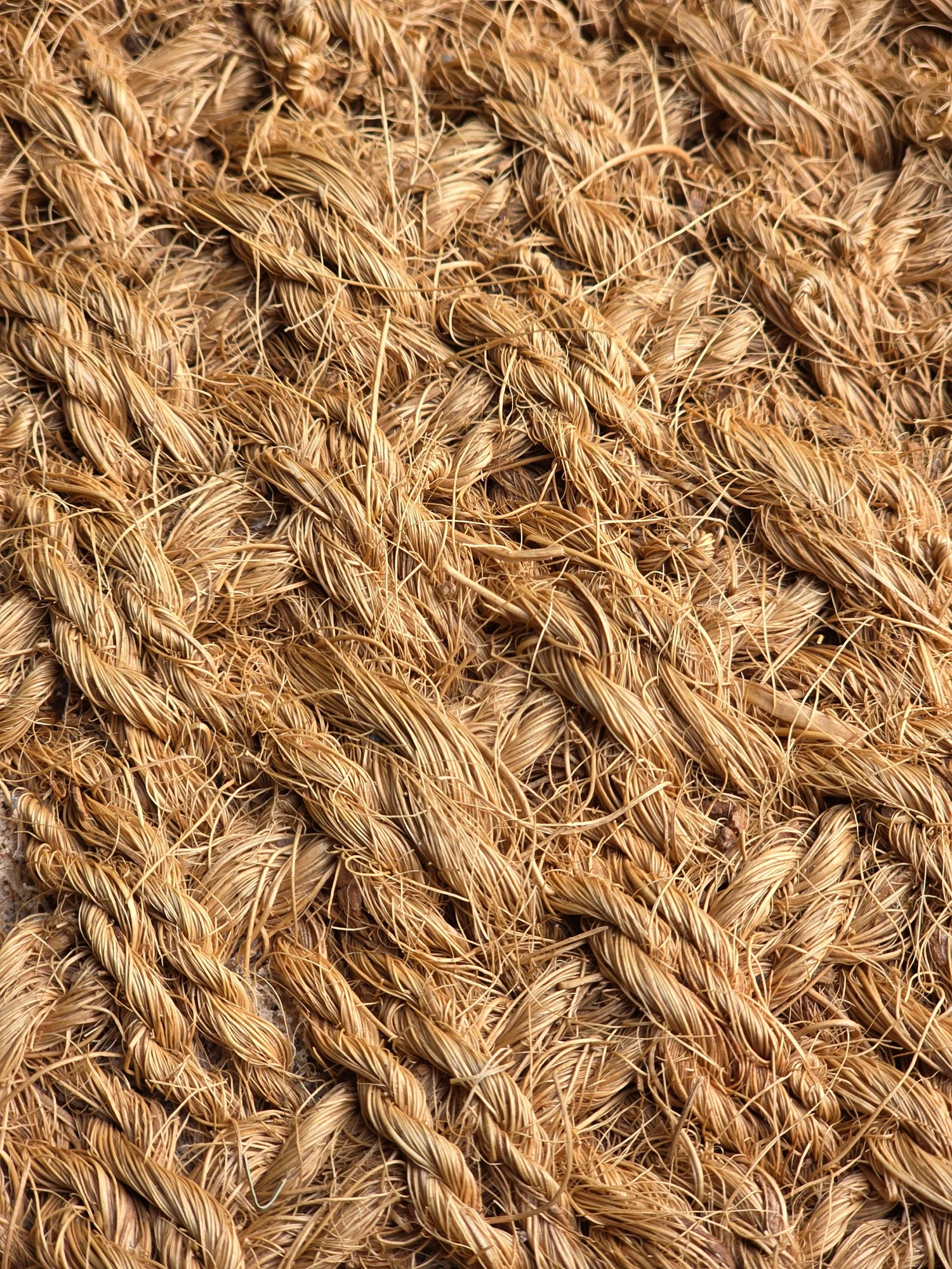 Close-up of braided natural-fiber rope used only to illustrate the visible construction logic of a braided packing form.